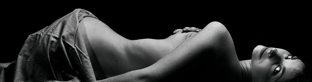 theme-header