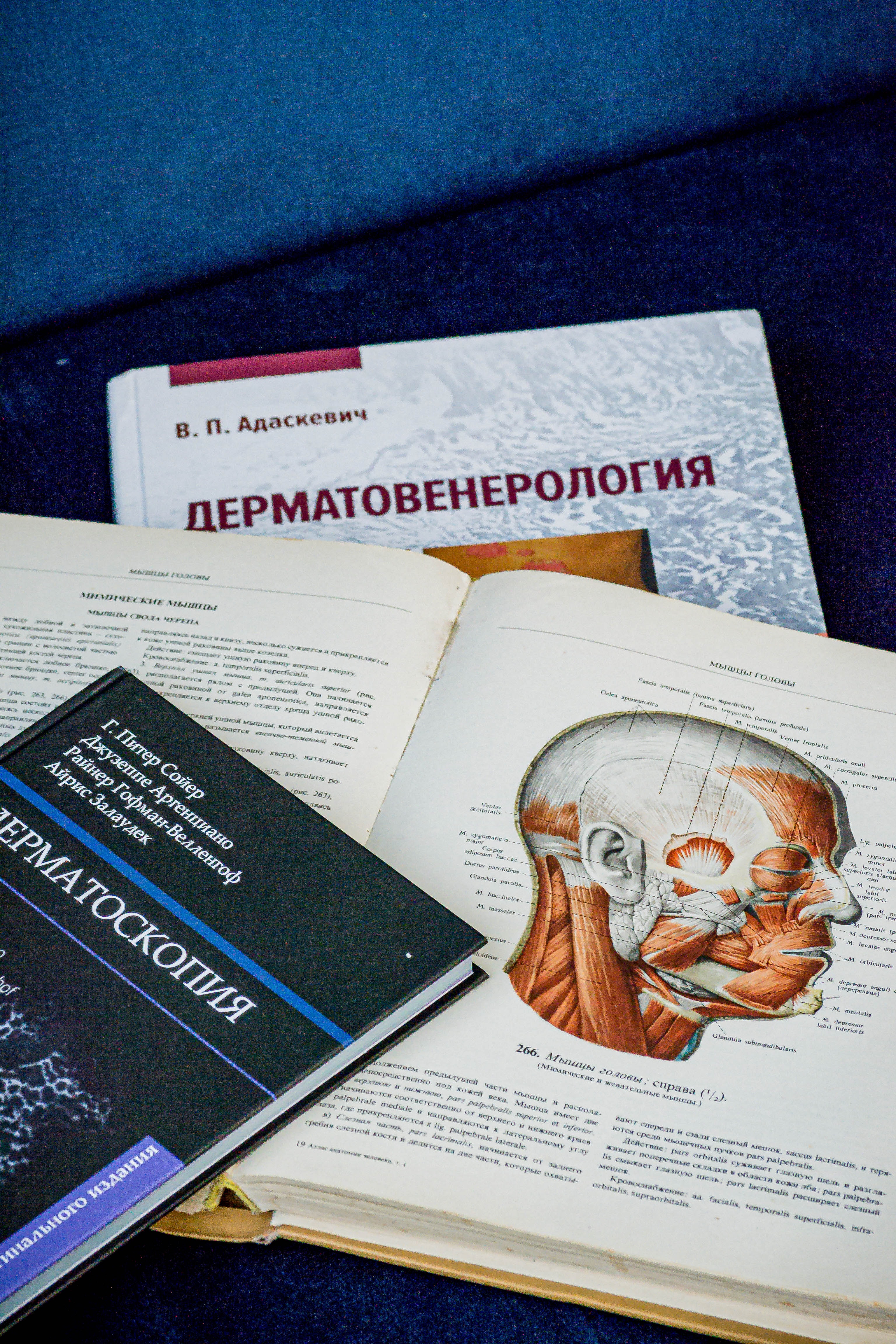 Когда нужна консультация дерматолога?