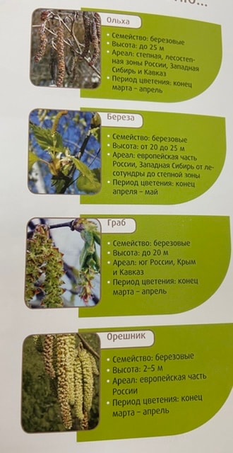 Весенний поллиноз.