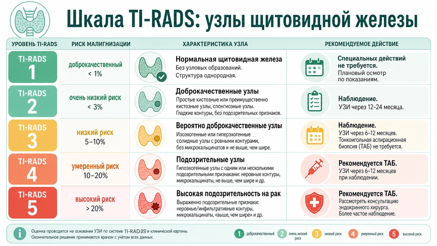 УЗИ щитовидки: что такое TI-RADS и как понять, опасный у вас узел или нет