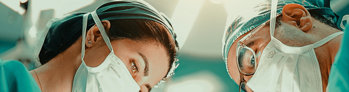 theme-header