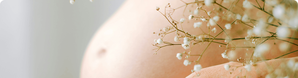 theme-header